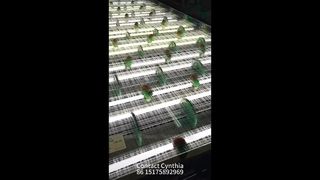 さまざまなスタイルのガラス積層メッシュが利用可能