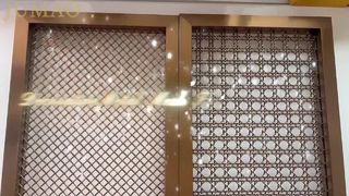 金属装飾メッシュの実撮影動画